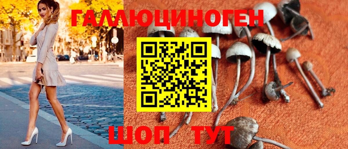 Галлюциногенные грибы Cubensis  Галлюциногенные грибы Cubensis  Элиста  Вход с VPN 